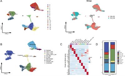 TUBA1C orchestrates the immunosuppressive tumor microenvironment and resistance to immune checkpoint blockade in clear cell renal cell carcinoma